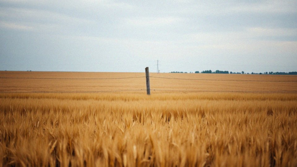 Jak podział kadru na dziewięć prostokątów wpływa na kompozycję?